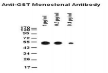 5f6183a1997ad.png image.png