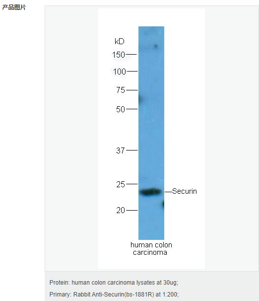 60540f01d8e73.png image.png