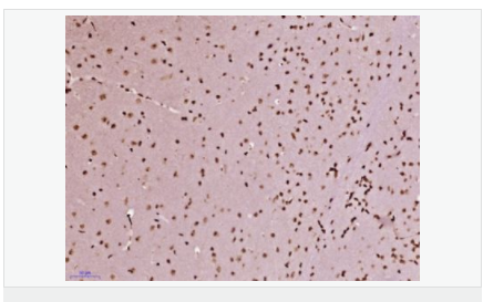 6057fd4058ced.png image.png