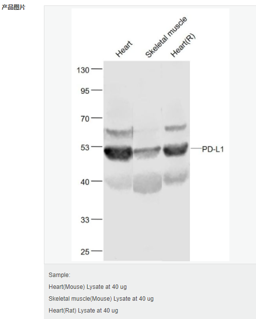 60582c7a59f3a.png image.png