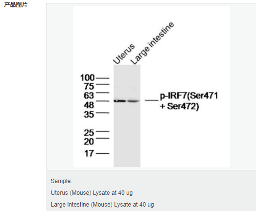 60583a59a2402.png image.png