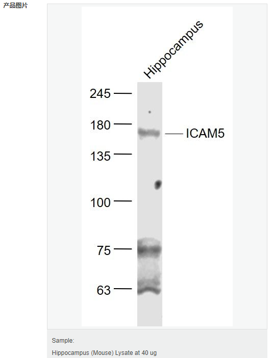 60583e792704b.png image.png