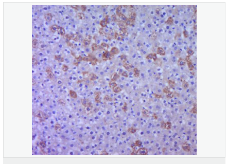 60594aa454b88.png image.png