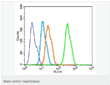 60594ad58d2fd.png image.png