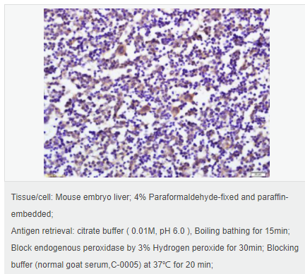 6059976832b9e.png image.png