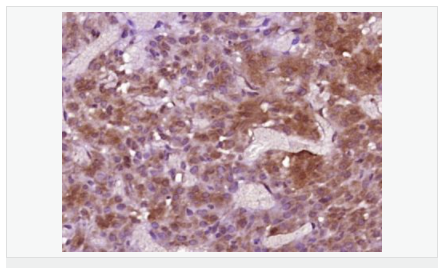 605c40702d741.png image.png