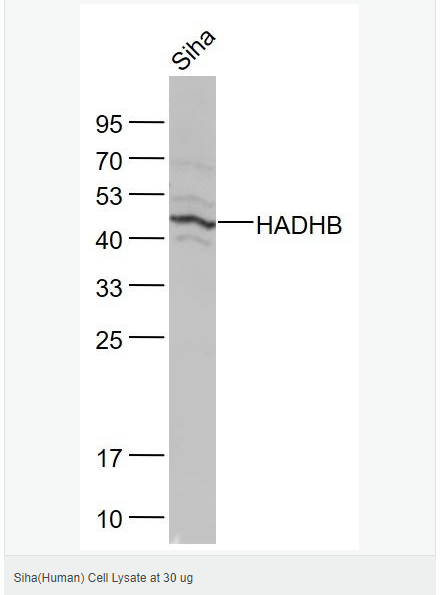 605d96b8ebf28.png image.png