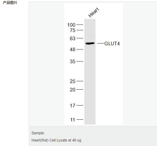 60612cad14bf4.png image.png