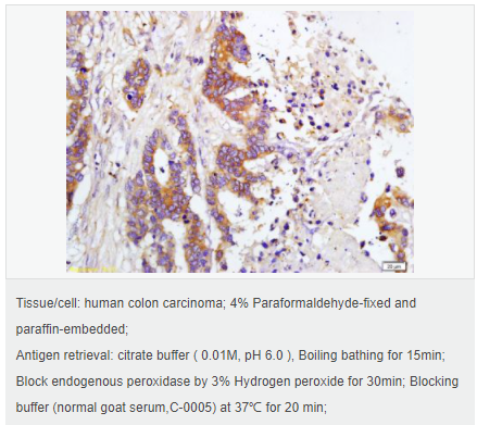 60616b7fa44a2.png image.png