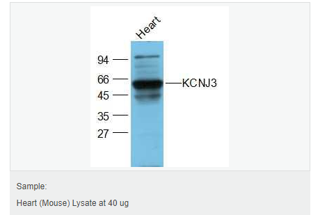 6063caeeb315e.png image.png