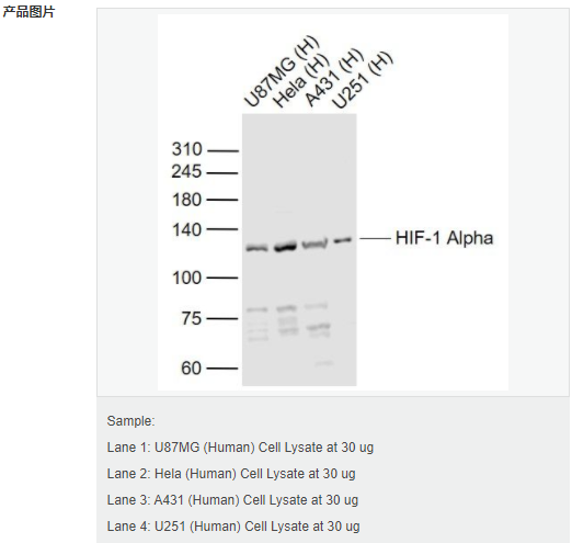 606428e165f10.png image.png