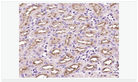 60656d81273a8.png image.png