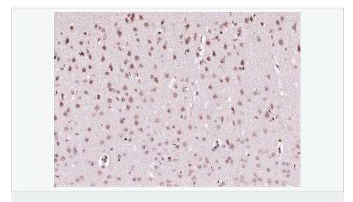 6066ba36f0399.png image.png