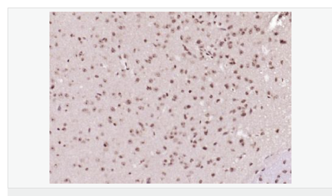 6066ba694f5f9.png image.png