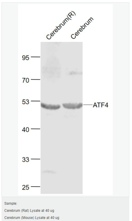 607643bd1ea72.png image.png