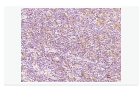 60764469a6b8e.png image.png