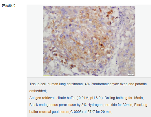 607644ff48dd1.png image.png