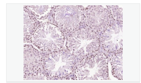 607652ed66919.png image.png