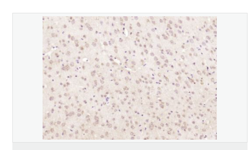 60767d44ebc04.png image.png