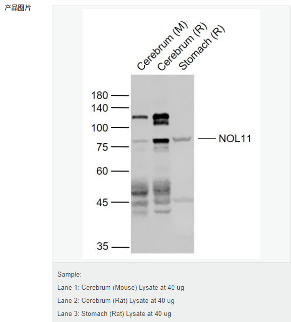 607692dba9d36.png image.png