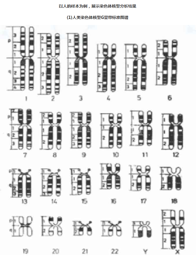 68ea10d7cd10e.png image.png